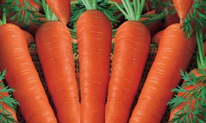 5 thực phẩm ngăn ngừa ung thư cổ tử cung