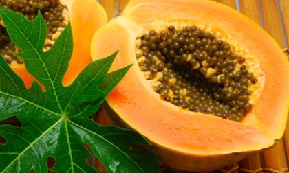 Các loại thực phẩm cực tốt cho thính lực