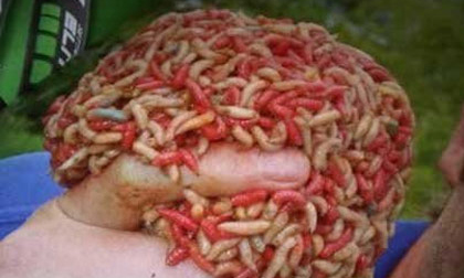 Phương pháp chữa bệnh kinh dị số 1 thế giới