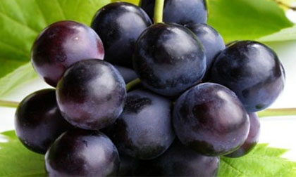 Ăn nho cùng hoặc gần lúc với 3 thực phẩm sau rất nguy hiểm