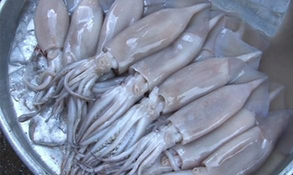 Xuất hiện mực lạ sau khi nướng vẫn thẳng