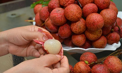 Công dụng tuyệt vời từ quả vải 