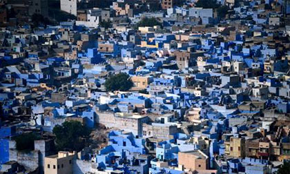 “Thành phố xanh” giữa lòng sa mạc Ấn Độ