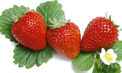 13 loại trái cây giúp giảm mỡ bụng cực hiệu quả