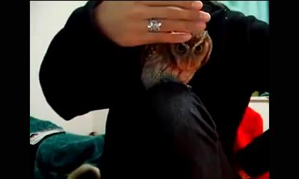 Mình 'đẹp trai' mà sao cứ che mình đi thế