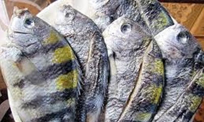 Những chất nào trong thực phẩm có khả năng gây ung thư