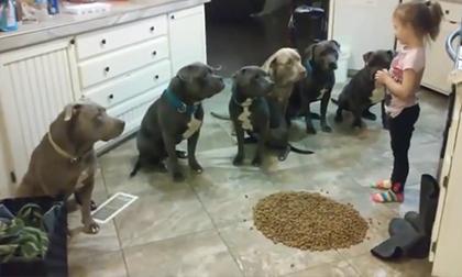 Lớp học của bé