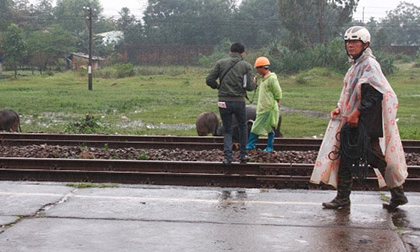 Thanh niên lao vào tàu hỏa tự tử trước mặt cha mẹ