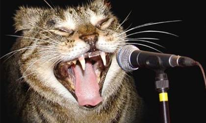 Giải trí với liên khúc cười... giải trí