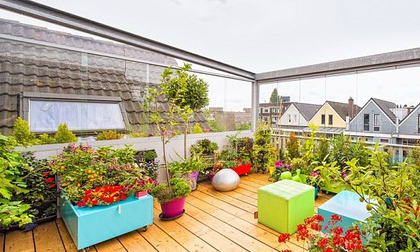 Khu vườn trên sân thượng giữa thành phố khiến hàng xóm 'phát thèm' 