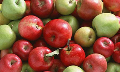 Thu hồi táo Mỹ nhiễm khuẩn khiến 3 người tử vong