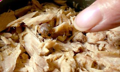 Sốc khi nhìn thấy sinh vật kỳ lạ trong hộp cá ngừ