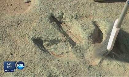 Những bí ẩn được khám phá khi đi dã ngoại