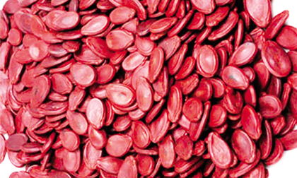 Công dụng thần kỳ cho sức khỏe của hạt dưa ít người biết