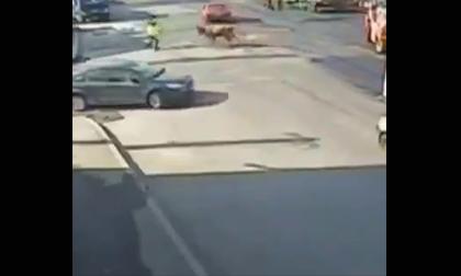 Đứng giữa ngã tư, anh chàng đen đủi bị bò húc