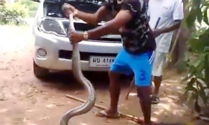 Lôi rắn khổng lồ ra khỏi động cơ xe hơi