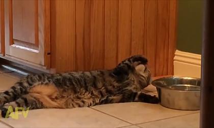 Đặc sản 'tay mèo'... chấm nước lọc