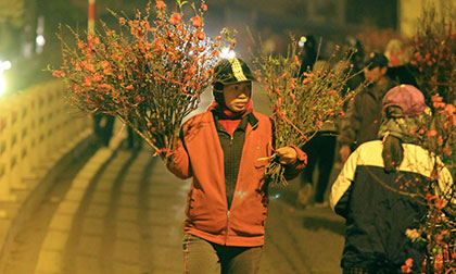 Chợ đào sớm những ngày cuối năm