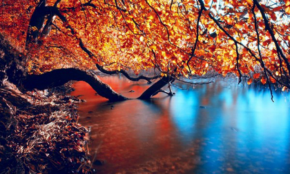 Thứ tư của bạn (4/2) 