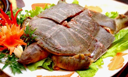 Những ai không được ăn thịt ba ba?