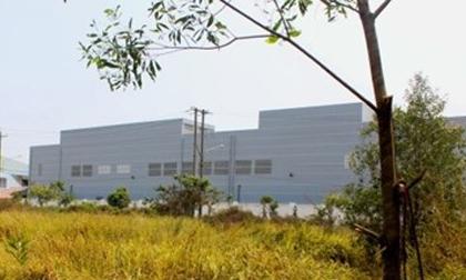 Phát hiện xác người treo trên cây tràm, chân chạm đất