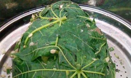 Lạ mà ngon như cá chép hấp lá đu đủ