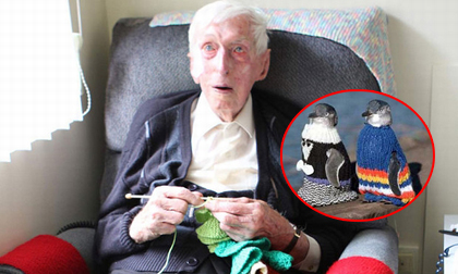 Cụ ông 109 tuổi đan áo cho chim cánh cụt