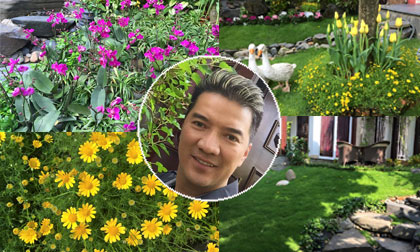 Đàm Vĩnh Hưng khoe vườn nhà tràn ngập sắc xuân