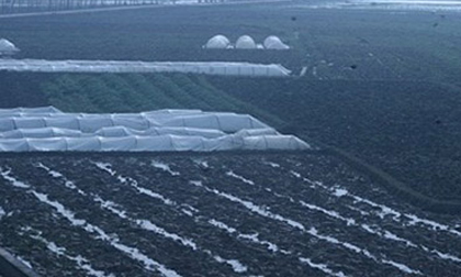 Án mạng kinh hoàng tại Bắc Giang ngày giáp Tết