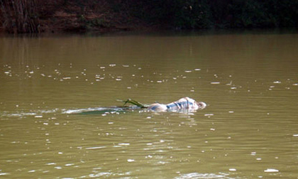 Xác cụ bà trôi sông ngày giáp Tết