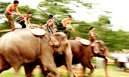 Những lễ hội đầu năm độc đáo không thể bỏ qua