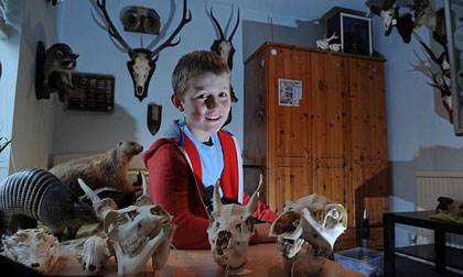 Cậu bé 12 tuổi tự… nhồi bông xác động vật