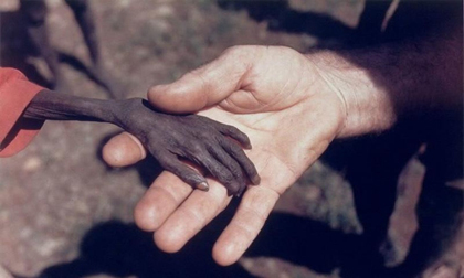  Những bức ảnh gây xúc động cả thế giới