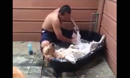 Đâu là chủ, đâu là tớ?