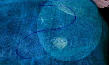 Phát hiện rắn hổ mang chúa dài 3m trên xe khách