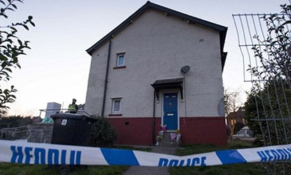 Kinh hoàng chó bull tấn công cụ bà 64 tuổi đến chết