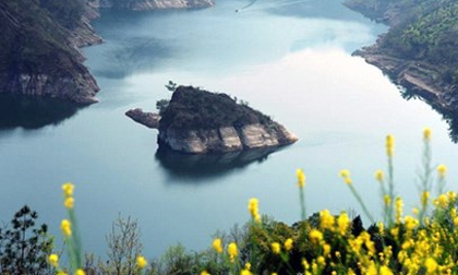 Kì lạ đảo rùa chỉ 'hiện hình' vào mùa xuân