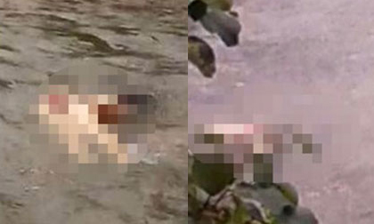 Truy bắt hung thủ giết phụ nữ, vứt xuống suối