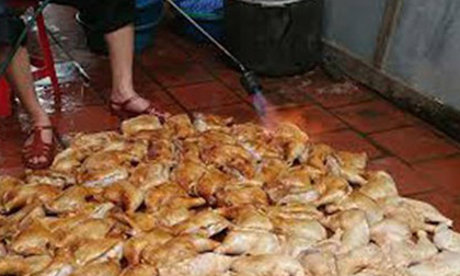 Tác giả bức ảnh 'gà mau về với ông bà' lên tiếng