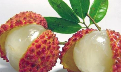 Quan niệm sai lầm về trái cây nóng - mát 