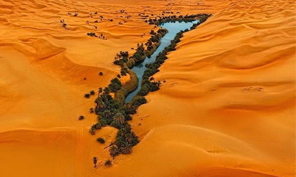 Choáng ngợp vẻ đẹp của ốc đảo giữa lòng sa mạc Sahara