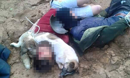 'Cẩu tặc' bị đánh: Cảnh tượng khiến người xem ám ảnh