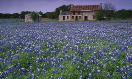 Chiêm ngưỡng 10 vườn hoa đẹp nhất thế giới