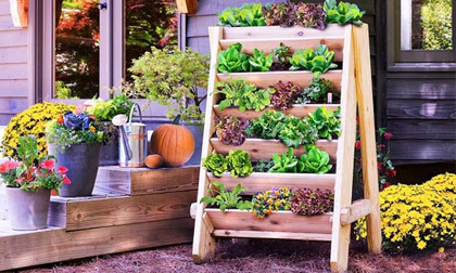 14 ý tưởng sáng tạo để có khu vườn thảo mộc trong nhà phố