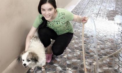 Lý Nhã Kỳ ăn mặc giản dị tắm cho cún cưng