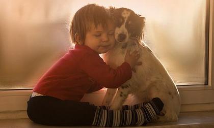 Cậu bé ôm cún cưng lay động trái tim hàng triệu người