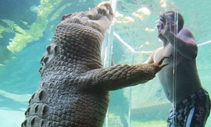 Những điểm du lịch mạo hiểm làm thót tim du khách