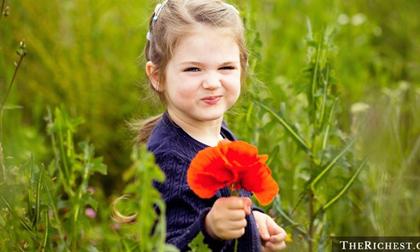 Những loài hoa vô cùng xinh đẹp có thể giết chết bạn