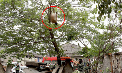 Giải cứu người đàn ông không mặc gì treo mình trên cây