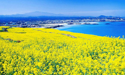 Những điểm đến thiên đường ở Hàn Quốc (P2)